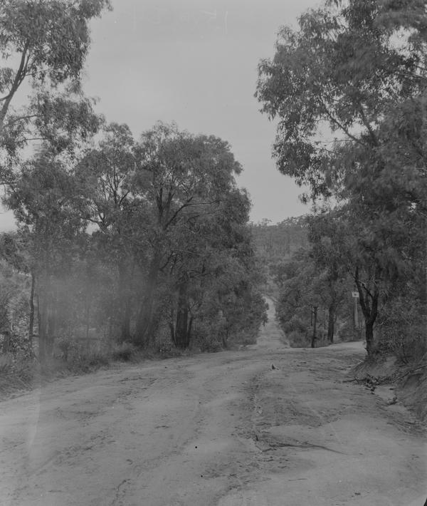 album 4x5 inch Sheet Film